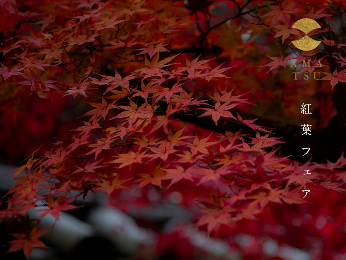 結婚指輪と婚約指輪のブランドAMATSUアマツの2025年11月のブライダルフェアの紅葉フェア