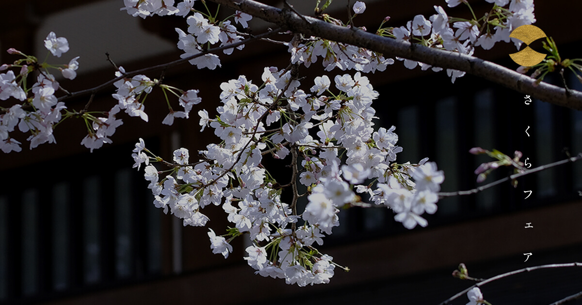 日本建築を背景に咲く桜と「さくらフェア」の文字。瀬戸内の春を感じるAMATSUの結婚指輪・婚約指輪ブライダルフェアのビジュアル