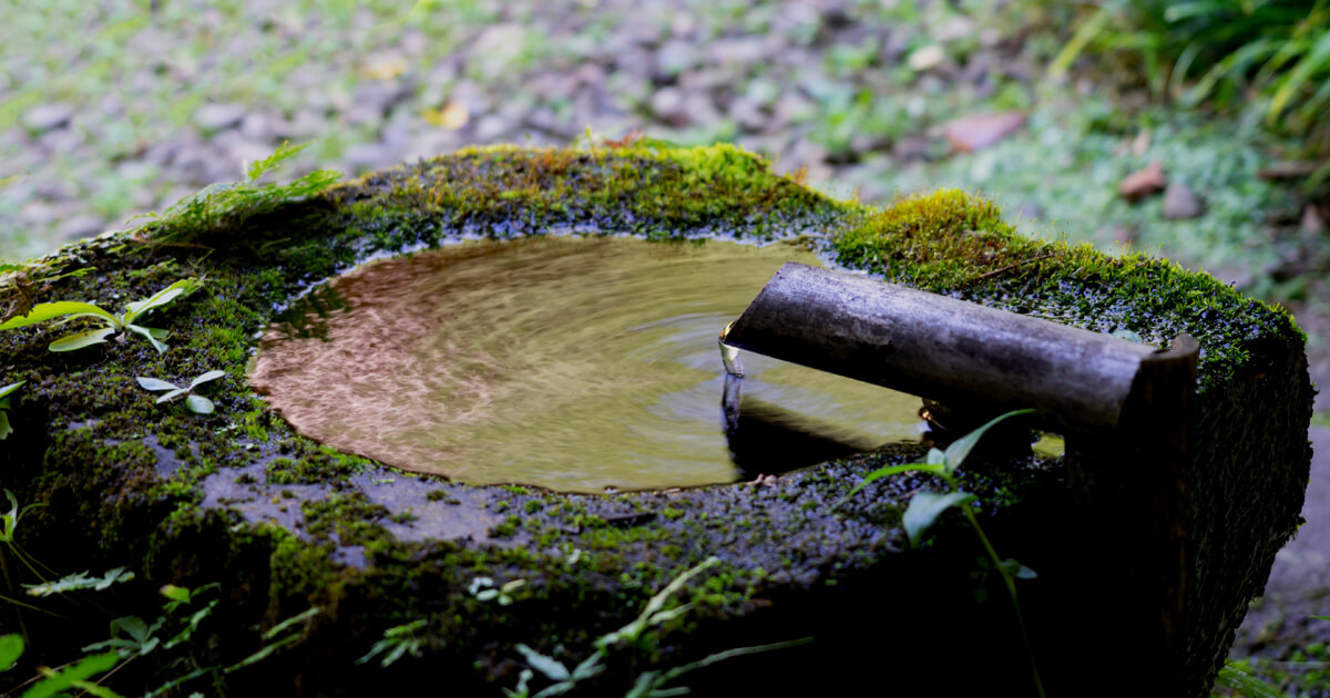 苔むした手水鉢に竹筒から一滴ずつ水が流れ落ち、静かな波紋が広がる日本庭園の風景。自然と調和する日本の美意識を感じさせる情景。